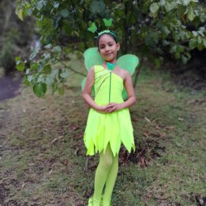 Disfraz Niña Tinkerbell